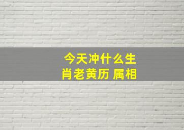 今天冲什么生肖老黄历 属相